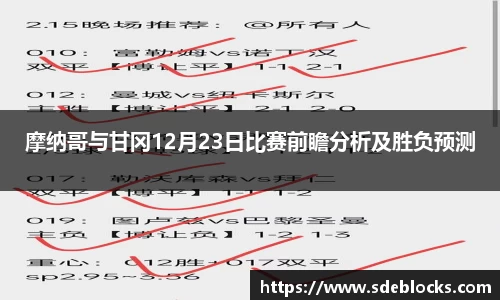 熊猫体育