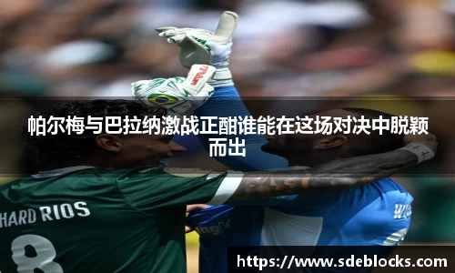 帕尔梅与巴拉纳激战正酣谁能在这场对决中脱颖而出